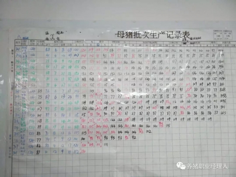 技術(shù)控 | 豬場水平高低如何判斷？