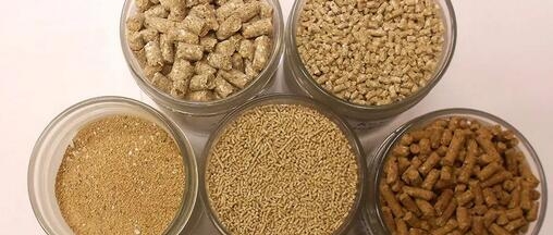 動物飼料配方纖維基質(zhì)秘密揭露