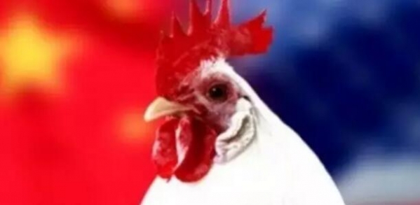 商務(wù)部：中國終止對美國進(jìn)口白羽肉雞產(chǎn)品征收雙反稅