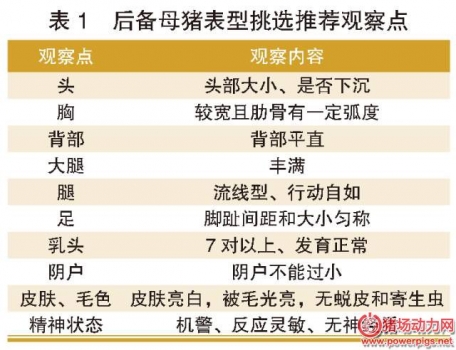后備母豬的引種、馴化、飼養(yǎng)、營養(yǎng)