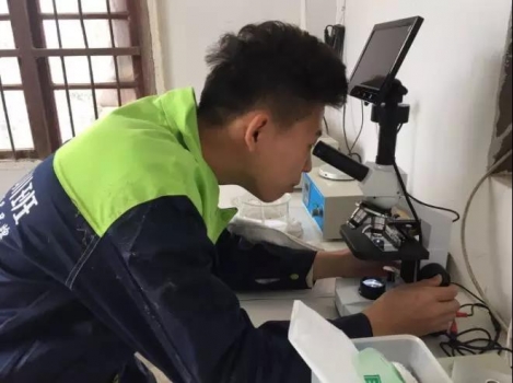 精液稀釋標準流程，你是這樣做的嗎？