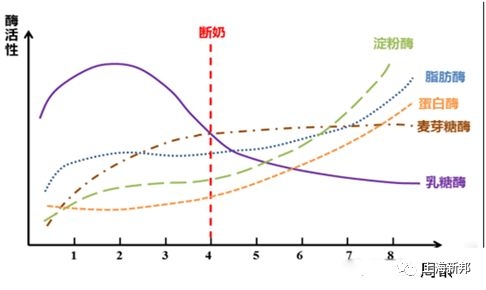 保育仔豬不好養(yǎng)，豬場(chǎng)如何預(yù)防？