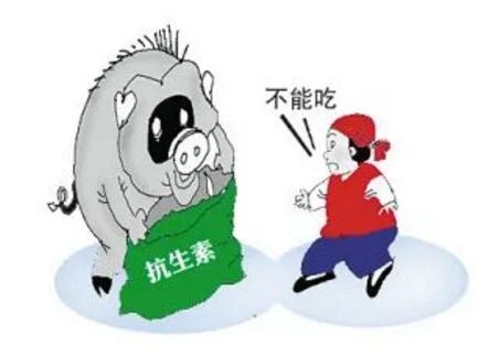 抗生素殘留的豬到底對人們危害多大？