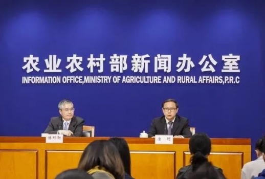 生豬存欄、能繁母豬雙雙反彈，豬價走勢會如何？央視、農(nóng)業(yè)農(nóng)村部齊發(fā)聲！