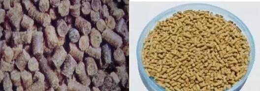 水產(chǎn)飼料生產(chǎn)常見(jiàn)問(wèn)題及處理措施