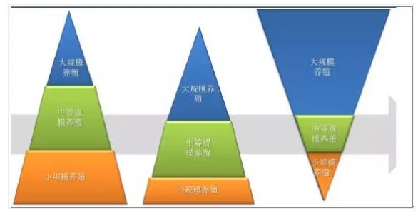 飼料行業(yè)景氣向上，2018年中國(guó)飼料行業(yè)發(fā)展趨勢(shì)分析