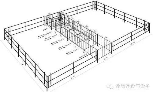 技術(shù)控 | 設(shè)計有效的公豬誘情系統(tǒng)