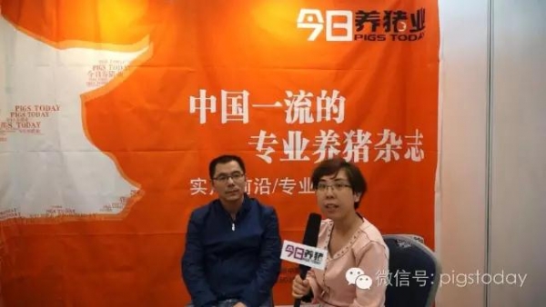施增斌：后備母豬的培育不能過于激進(jìn)