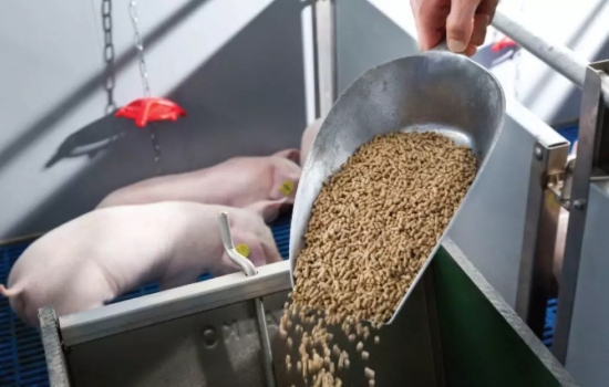 飼料制粒機(jī)堵機(jī)原因簡(jiǎn)析及處理方法