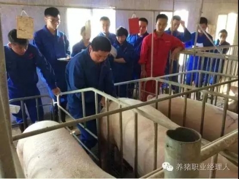 深部輸精的標(biāo)準(zhǔn)化操作