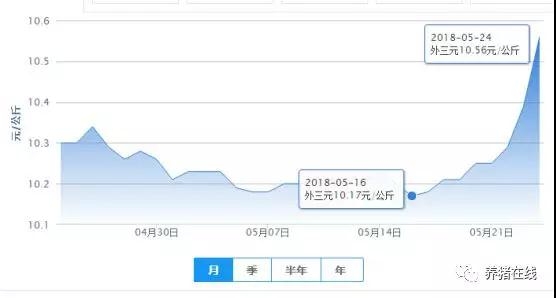 近期豬價全面上漲，這波行情還能持續(xù)多久？