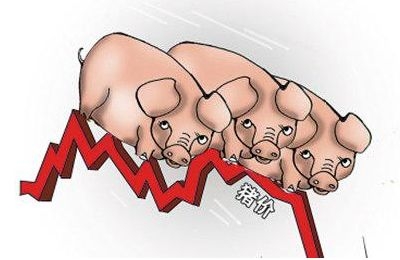 豬價否極泰來， “豬周期”磨底進行時