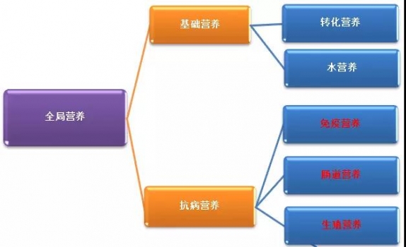 為什么說補(bǔ)充抗病營(yíng)養(yǎng)是提高豬場(chǎng)PSY的基礎(chǔ)？