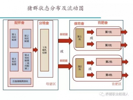 批次生產|規(guī)模場四周批生產模式簡介（1）
