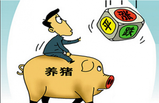 豬價(jià)短暫漲跌互現(xiàn)，生豬供應(yīng)總體寬松！