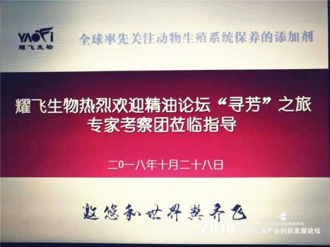 耀飛歡迎.jpg