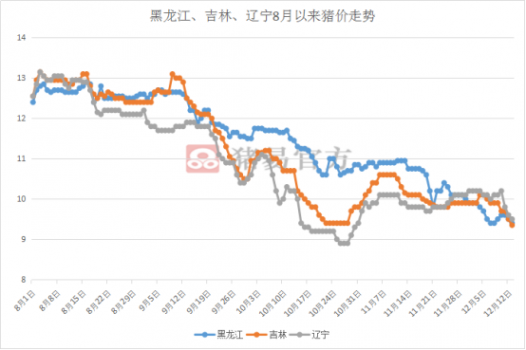 非洲豬瘟下，北方豬價(jià)漲跌不一，背后究竟是什么原因？