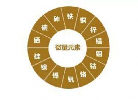微量元素在養(yǎng)豬中所起的作用及補(bǔ)加方法介紹