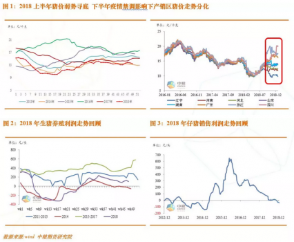 2019年豬價上漲已成定局 漲幅視疫情及調(diào)運政策
