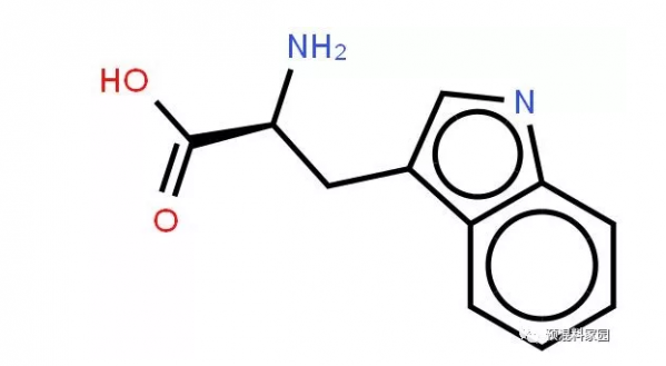 色氨酸營(yíng)養(yǎng)研究進(jìn)展