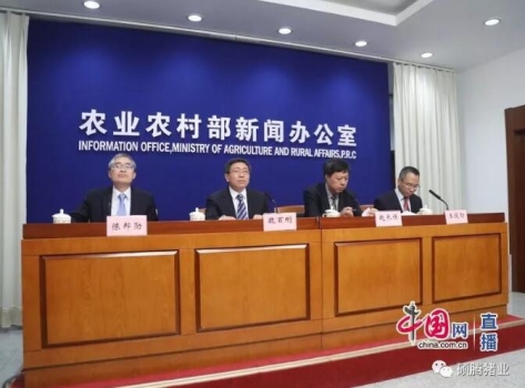 農(nóng)業(yè)農(nóng)村部：非洲豬瘟疫情累計(jì)捕殺生豬達(dá)到102萬頭！已安排6.3億元補(bǔ)助經(jīng)費(fèi)
