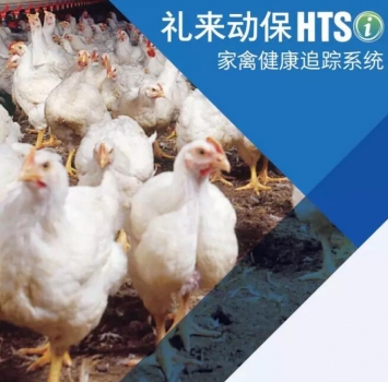 重磅|2019年家禽健康追蹤系統(tǒng)中國數(shù)據(jù)報告出爐（上）