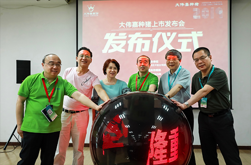 “非”誠勿擾，只培育用戶想要的“大偉嘉種豬”正式上市