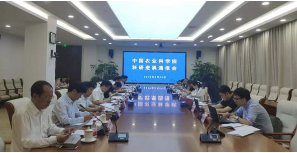 重磅！非瘟候選疫苗問世 養(yǎng)豬股急跌 疫苗股拉升