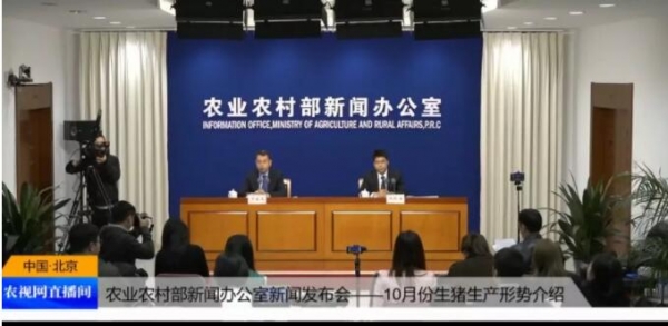全國(guó)能繁母豬存欄首次止降回升!爭(zhēng)取明年底生豬存欄恢復(fù)至常年80%左右