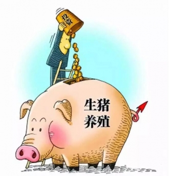 財(cái)政部：支持豬業(yè)發(fā)展，中央資金已下達(dá)完畢！