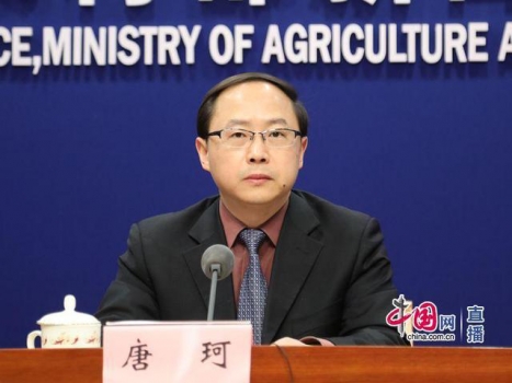 農(nóng)業(yè)農(nóng)村部：2020年我國生豬產(chǎn)能有望逐步恢復(fù)