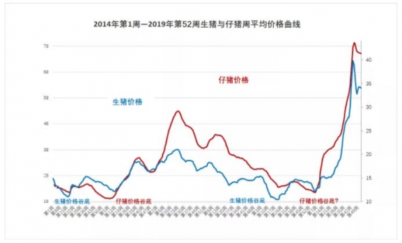 大數(shù)據(jù)：2019年養(yǎng)豬行情回顧及2020年豬行大趨勢（利潤比2019年更好）