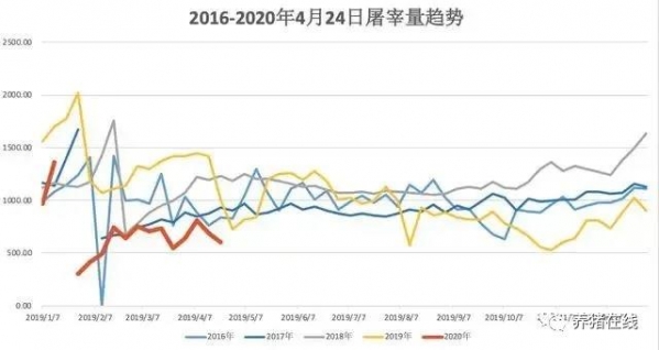 清明、五一豬價都不漲，反映一個重要信息！