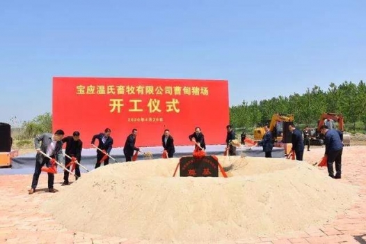 牧原4月銷售生豬124萬頭，超溫氏近40萬頭！各大養(yǎng)殖集團企業(yè)投760億元布局生豬產(chǎn)業(yè)