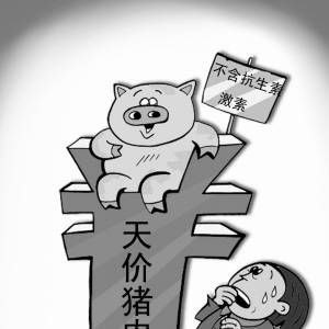 天價豬肉，誰是推手？