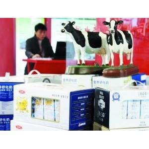 專家稱我國(guó)兩年后有望生產(chǎn)接近人乳牛奶