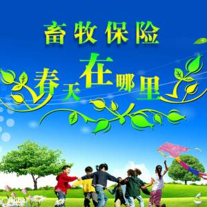 畜牧保險(xiǎn)的春天在哪里
