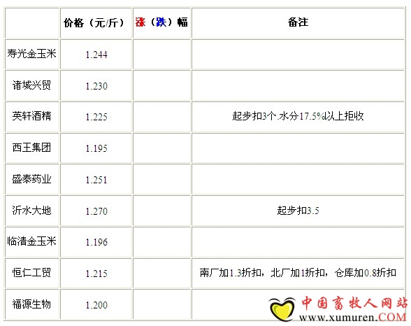 8月28日山東深加工企業(yè)收購價(jià)格穩(wěn)定