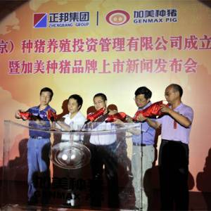 100萬加美種豬出欄 正邦集團(tuán)強勢打造國內(nèi)種豬旗艦品牌