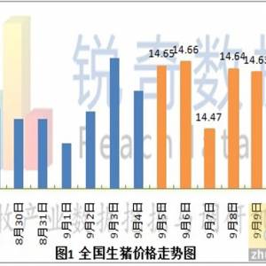 2012年9月12日豬評: 生豬微弱震蕩