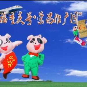 榮昌豬吉祥物獲全國農(nóng)業(yè)創(chuàng)意活動金獎