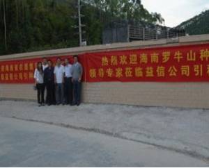 肇慶市益信首批新丹系種豬落戶海南