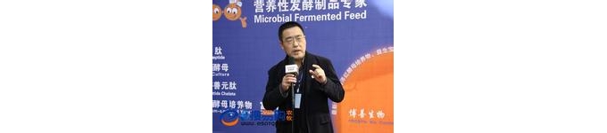 博善潘軍博士談關(guān)于豆粕蛋白的技術(shù)問題