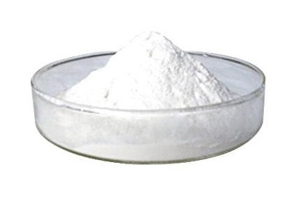 亮氨酸的代謝及營養(yǎng)生理作用研究進(jìn)展