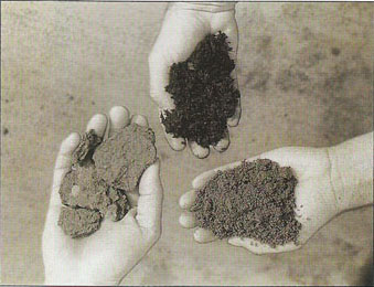 為什么要用有機(jī)微量元素替代無機(jī)微量元素