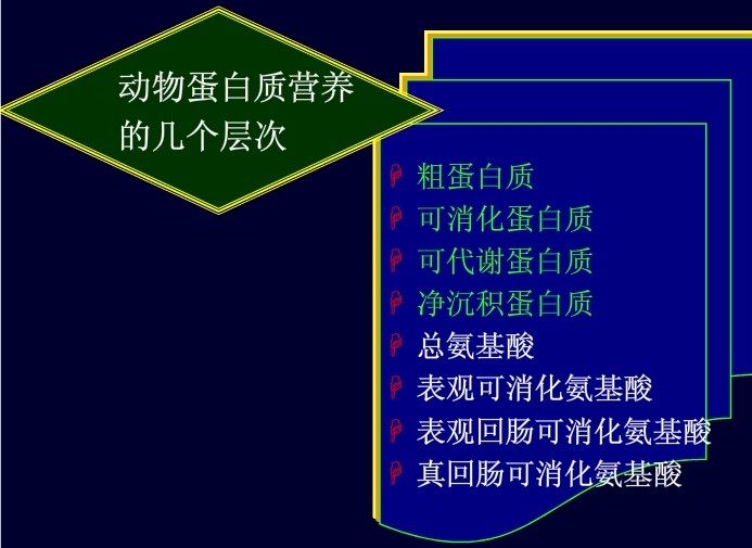 動(dòng)物蛋白質(zhì)營養(yǎng)的幾個(gè)層次