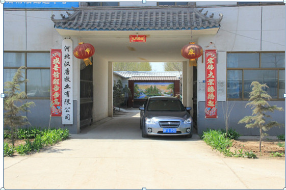 乘風(fēng)破浪會(huì)有時(shí)----漢唐牧業(yè)扎根養(yǎng)豬行業(yè)跨步向前