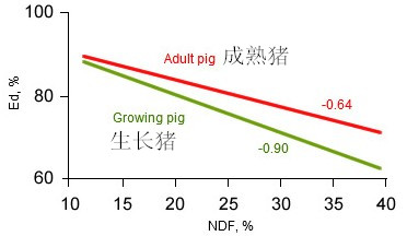 審查酶在仔豬營養(yǎng)，作用和盈利方面的應用