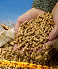 浸泡、蒸煮、焙炒、制漿、發(fā)芽法調(diào)整豬飼料