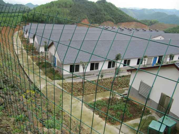 豬場秋季管理要點：防應激、營養(yǎng)加保健
